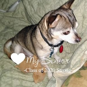 Meet your Posher, Janis